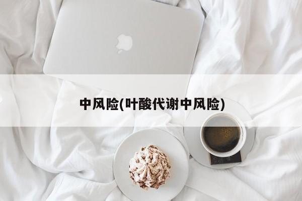 中风险(叶酸代谢中风险)