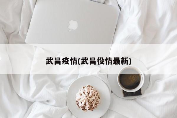 武昌疫情(武昌役情最新)